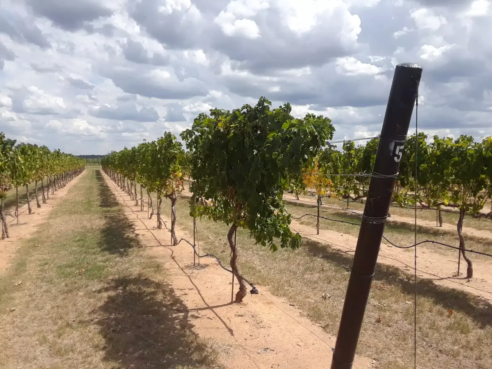 shutterstock_1725198298